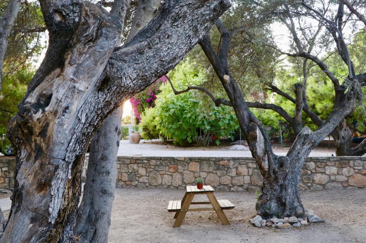 Pyrgos Ralli Estate Guesthouse Aegina Eksteriør billede