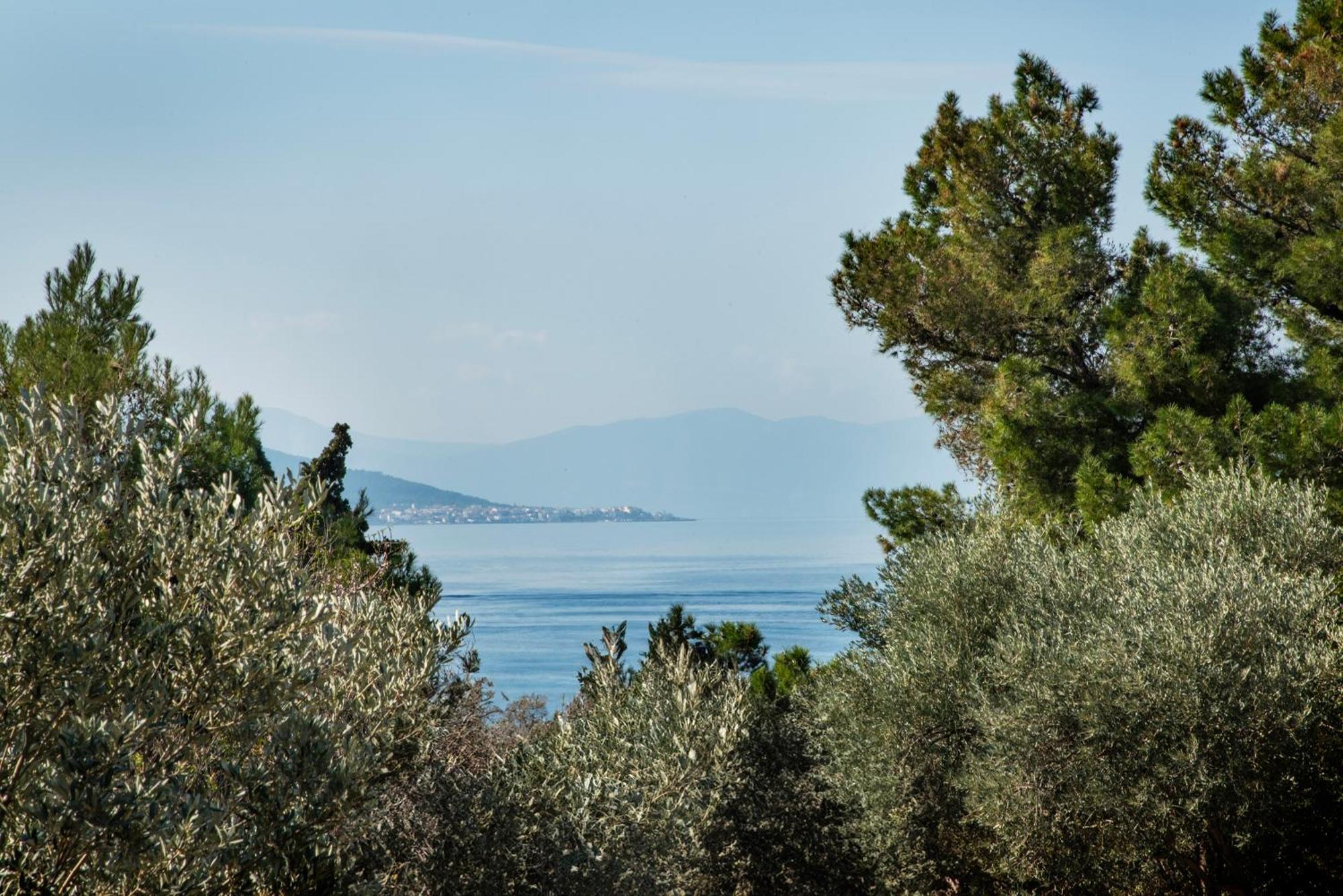 Pyrgos Ralli Estate Guesthouse Aegina Eksteriør billede