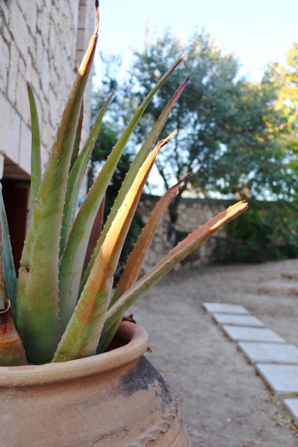 Pyrgos Ralli Estate Guesthouse Aegina Eksteriør billede